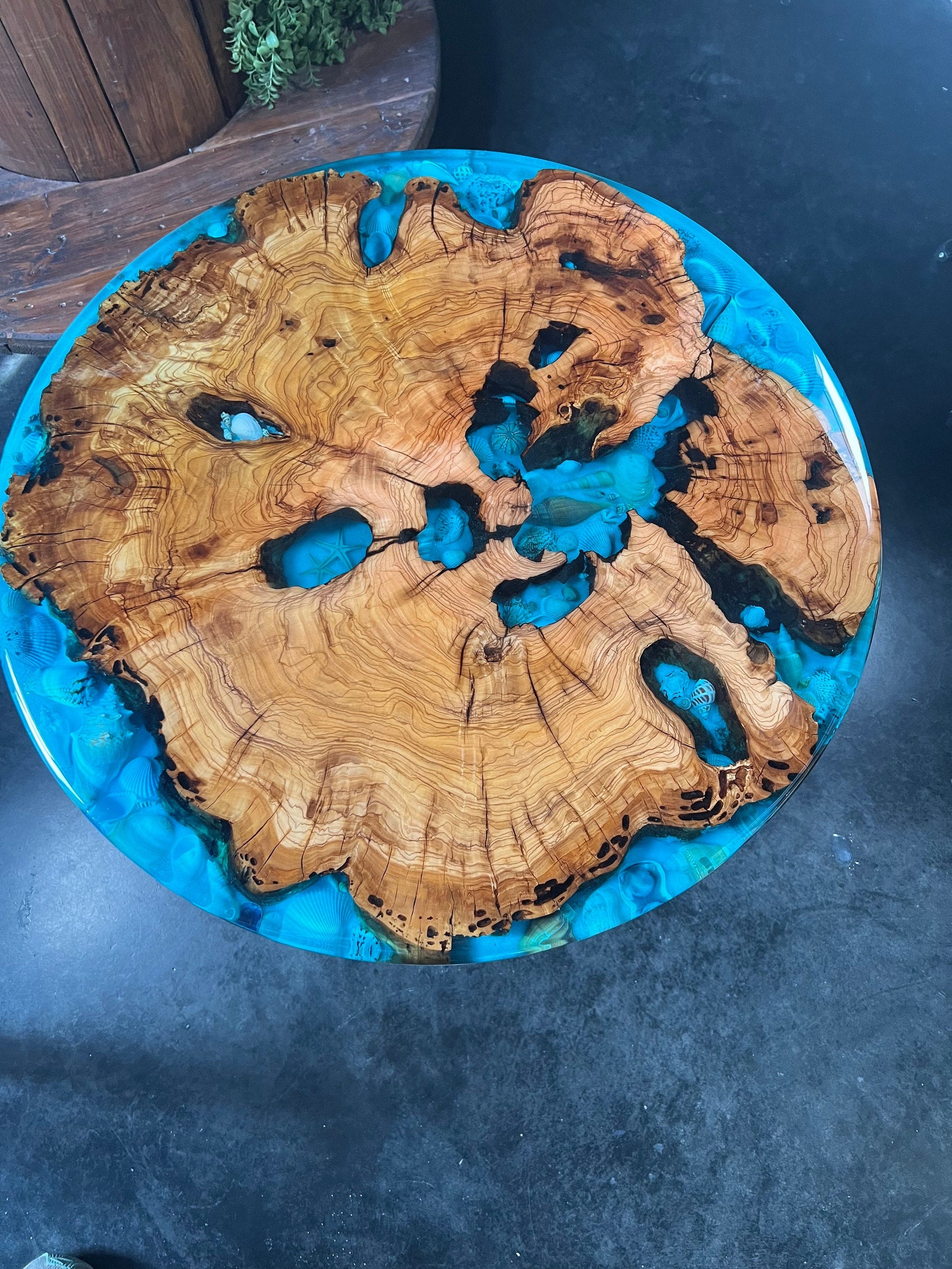 Ocean view Sea shell, Blue, Olive Wood Round Table, coffee table, accent table