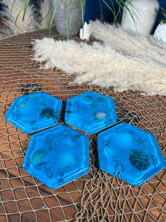 Sea Shell Coasters