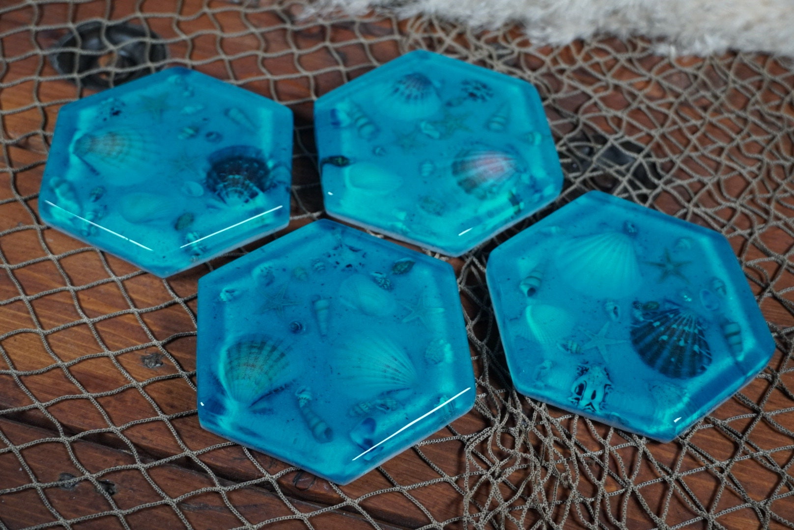 Sea Shell Coasters
