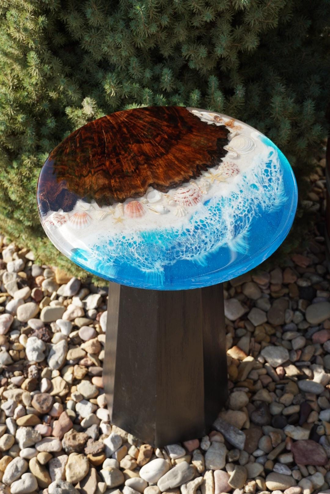 Ocean scape Sea Shell | Walnut Burl | Seaside Accent Table | Side Table | End Table