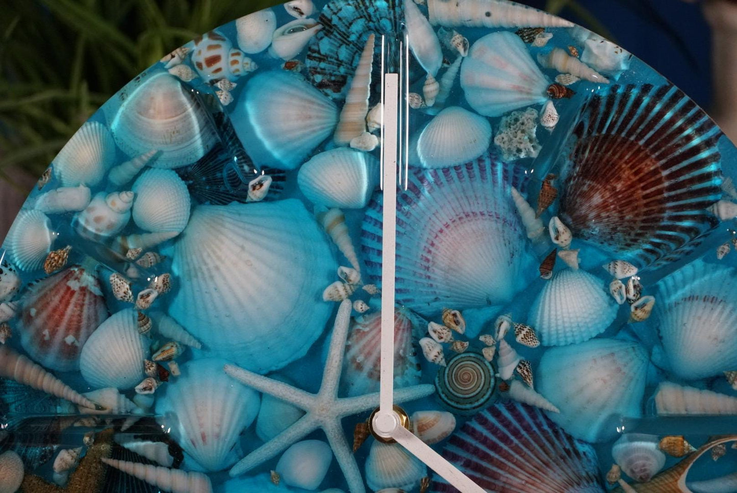 Sea Shell Ocean Clock