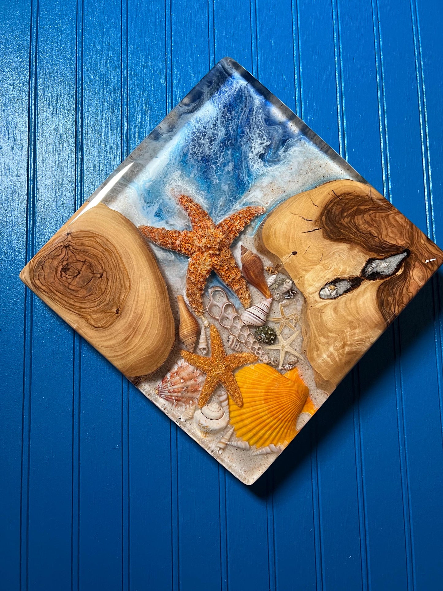 Sea Shell Ocean Seascape Wall Art