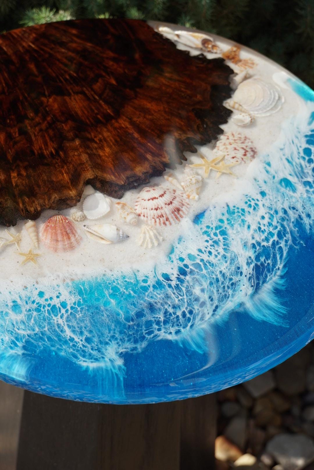 Ocean scape Sea Shell | Walnut Burl | Seaside Accent Table | Side Table | End Table