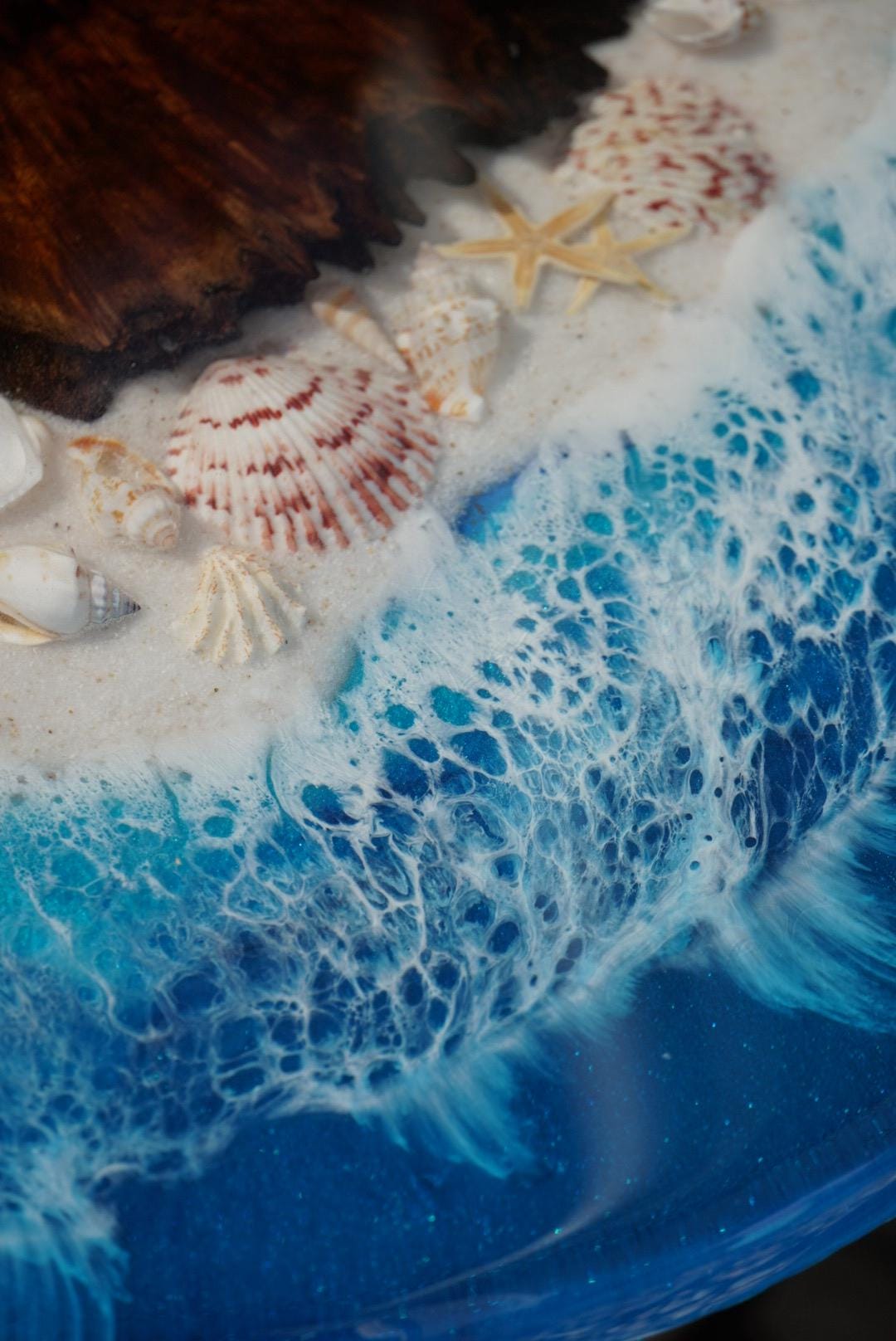 Ocean scape Sea Shell | Walnut Burl | Seaside Accent Table | Side Table | End Table