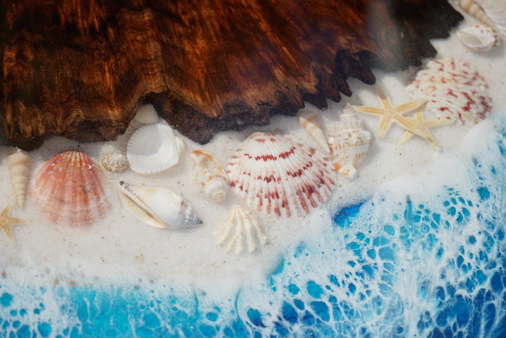 Ocean scape Sea Shell | Walnut Burl | Seaside Accent Table | Side Table | End Table