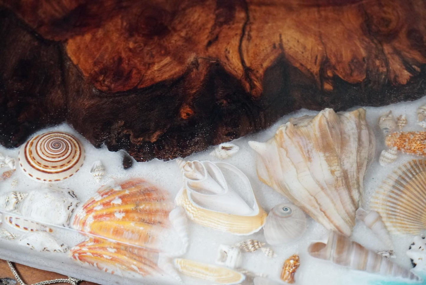 Sea Shell and Walnut Burl Charcuterie Board/Serving Tray/Centerpiece