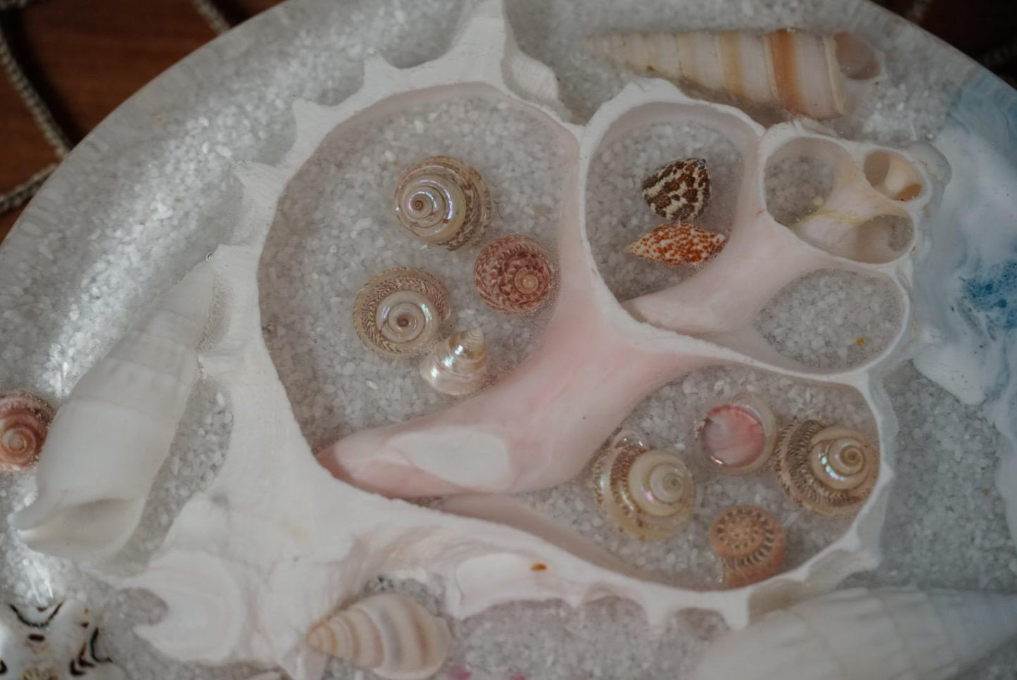 Ocean Sea Shell Heart | Ocean Decor | Epoxy Resin |Charcuterie Board | Centerpiece | Serving Board